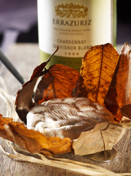 Uit: Het Festijn van Kaas en Wijn