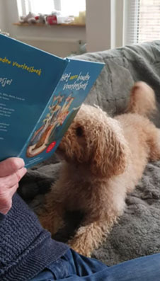Hand leest voor uit het Eerste Hondenvoorleesboek